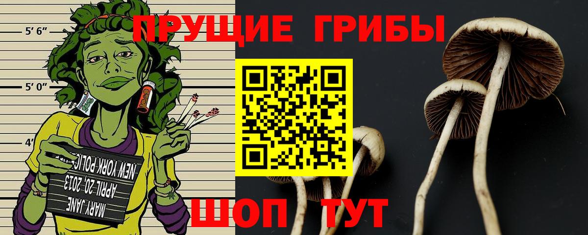 Псилоцибиновые грибы прущие грибы Красноярск