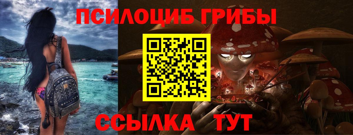 Псилоцибиновые грибы мухоморы  Псилоцибиновые грибы ЛСД  как найти наркотики  Красноярск  Вход с VPN 