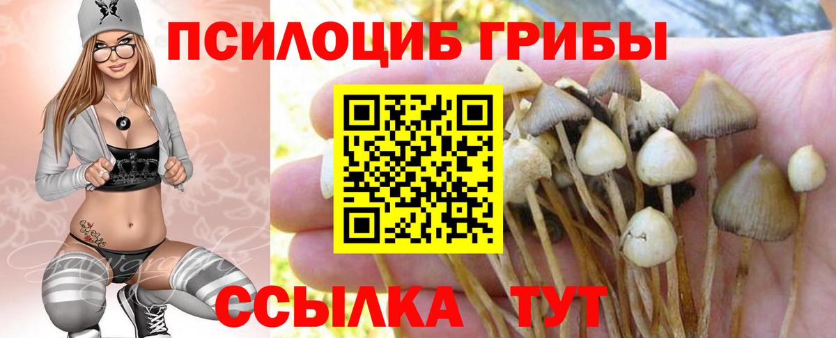 Галлюциногенные грибы GOLDEN TEACHER  Красноярск 